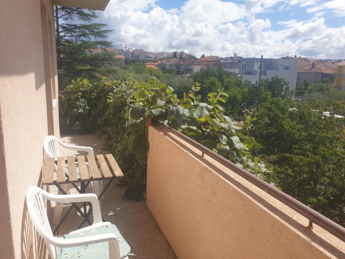Apartment Ivanov Zadar Eksteriør bilde
